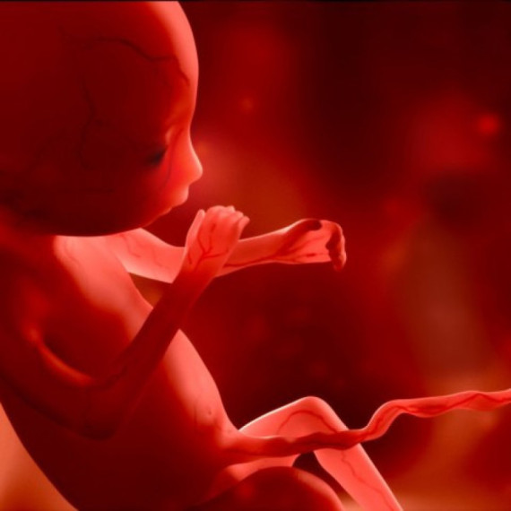 Pronađen fetus vanzemaljca? FOTO