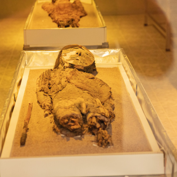Otkrivene tajne tetovaža najstarije mumije u Evropi VIDEO