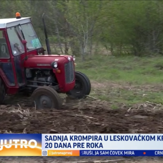 Leskovački poljoprivrednici ne znaju za odmor: Sadnja krompira počela 20 dana ranije VIDEO