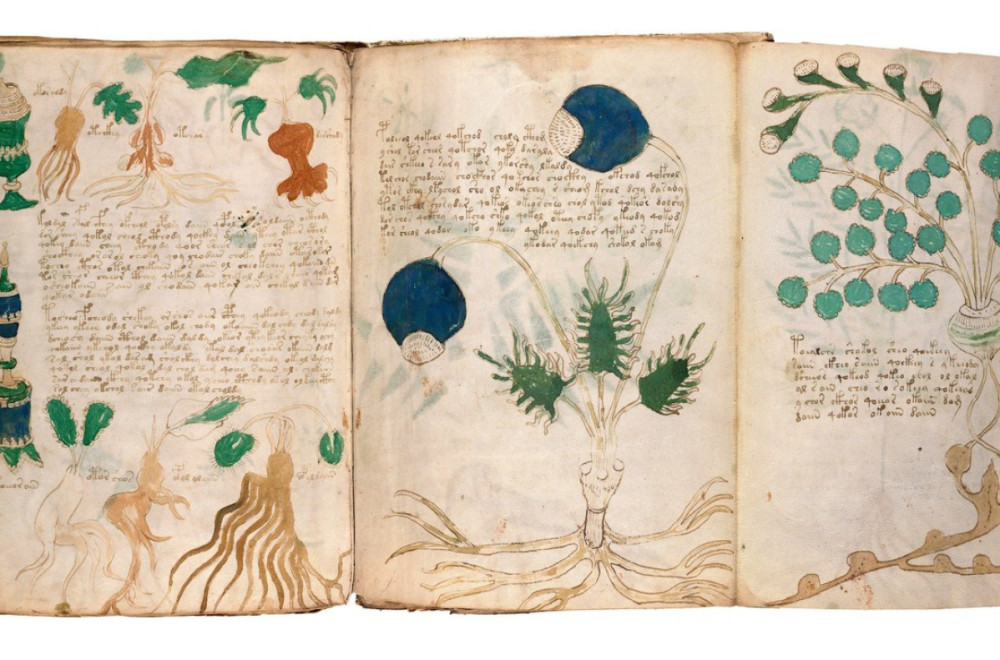 Seksualne tajne o kojima nije smelo da se zna: Rešena misterija rukopisa iz 15. veka FOTO/VIDEO