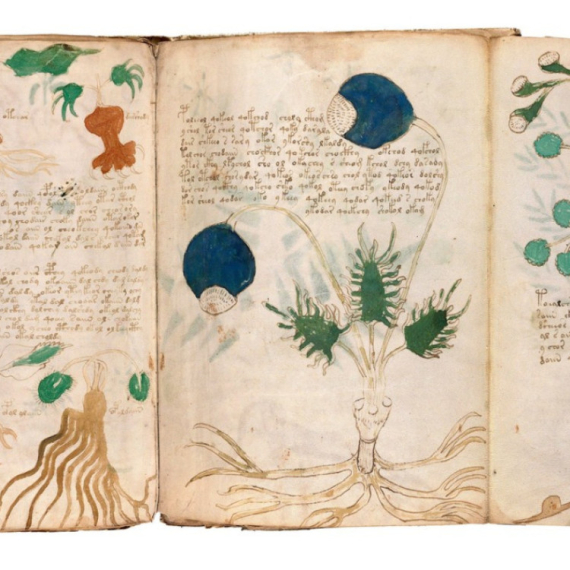 Seksualne tajne o kojima nije smelo da se zna: Rešena misterija rukopisa iz 15. veka FOTO/VIDEO
