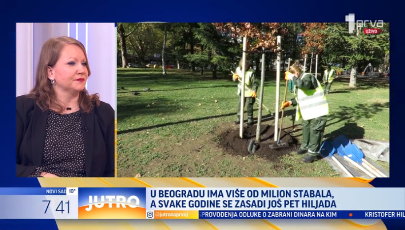 Beograd radi na ozelenjavanju grada: Zasađeno više od 13.000 stabala