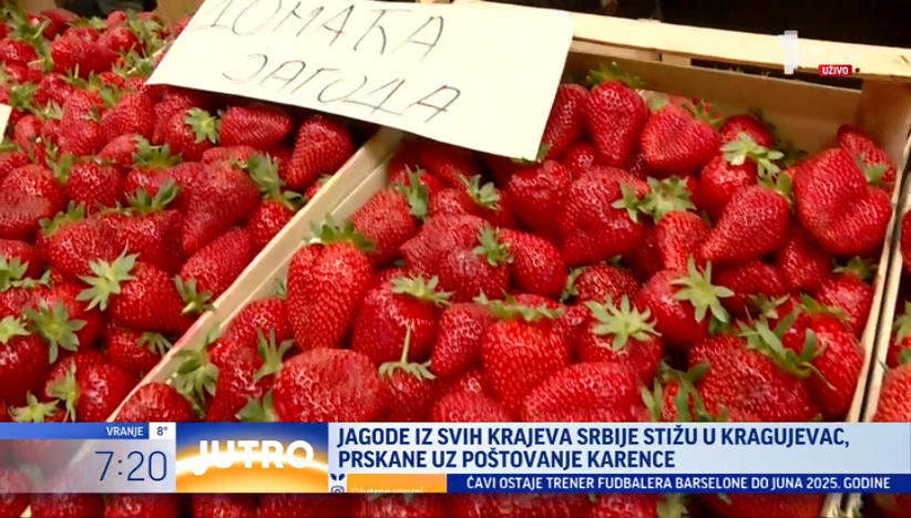 Jagode iz svih krajeva Srbije stižu u Kragujevac