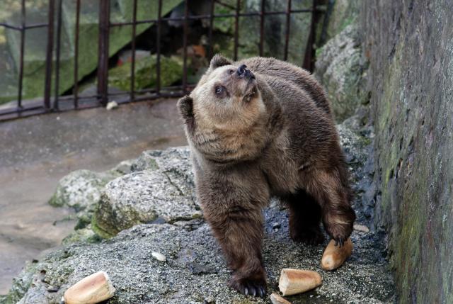 Foto: Tanjug / Sava Radovanović