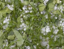 ilustracija: Thinkstock