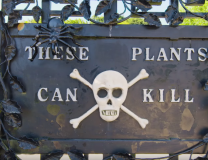 Foto: YouTube Screenshot