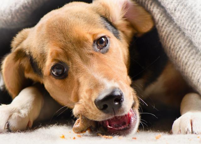 Foto: Thinkstock
