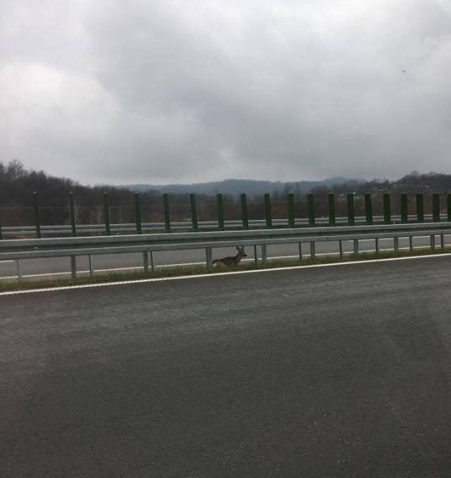 Foto: Ministarstvo građevinarstva, saobraćaja i infrastrukture