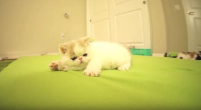 Foto: YouTube Screenshot