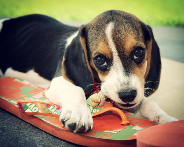 Foto: Thinkstock