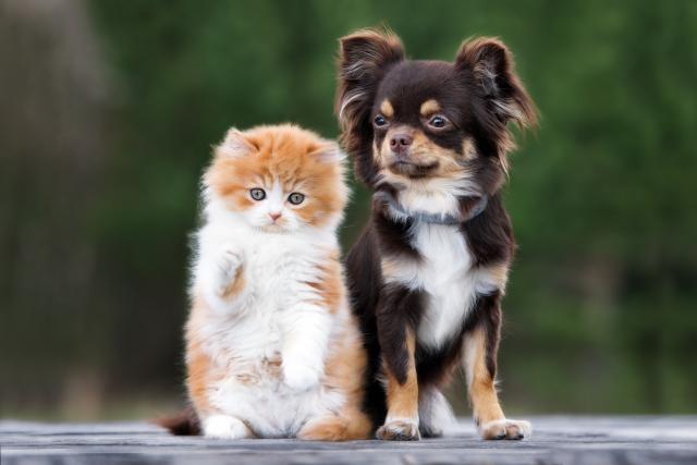 Foto: Thinkstock