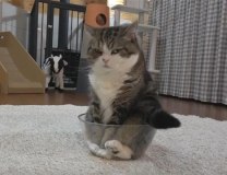 Foto: YouTube Screenshot