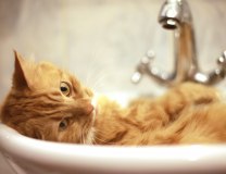 Foto: Thinkstock / ilustracija