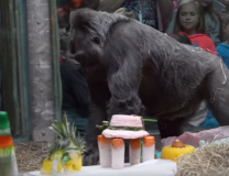 Foto: YouTube Screenshot