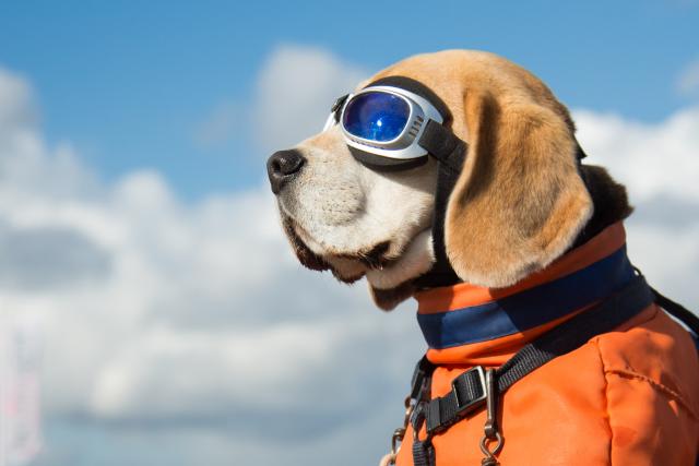Foto: Thinkstock