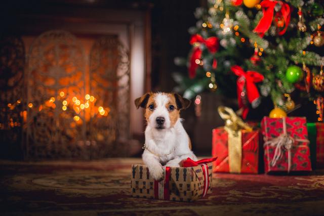 Foto: Thinkstock