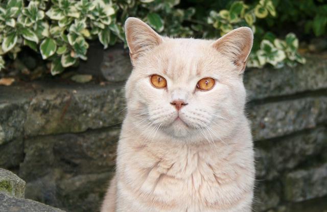 Foto: Thinkstock
