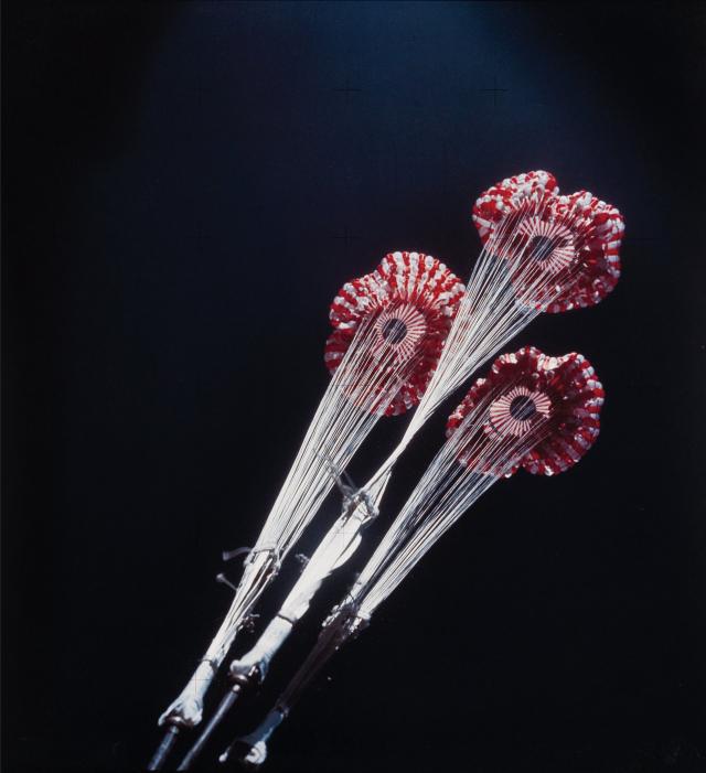 NASA/Swann Auction Galleries