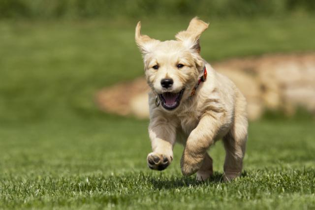 Foto: Thinkstock