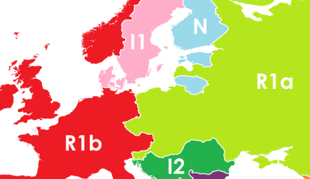 genetska mapa evrope Kad bi DNK određivao granice, mapa Evrope bi ovako izgledala  genetska mapa evrope