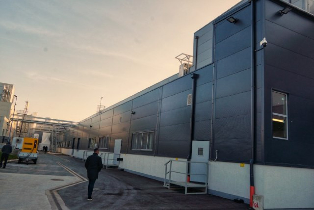 Iz srca Srbije, do stolova Evrope: Beograd među vodećim proizvođačima hrane na biljnoj bazi