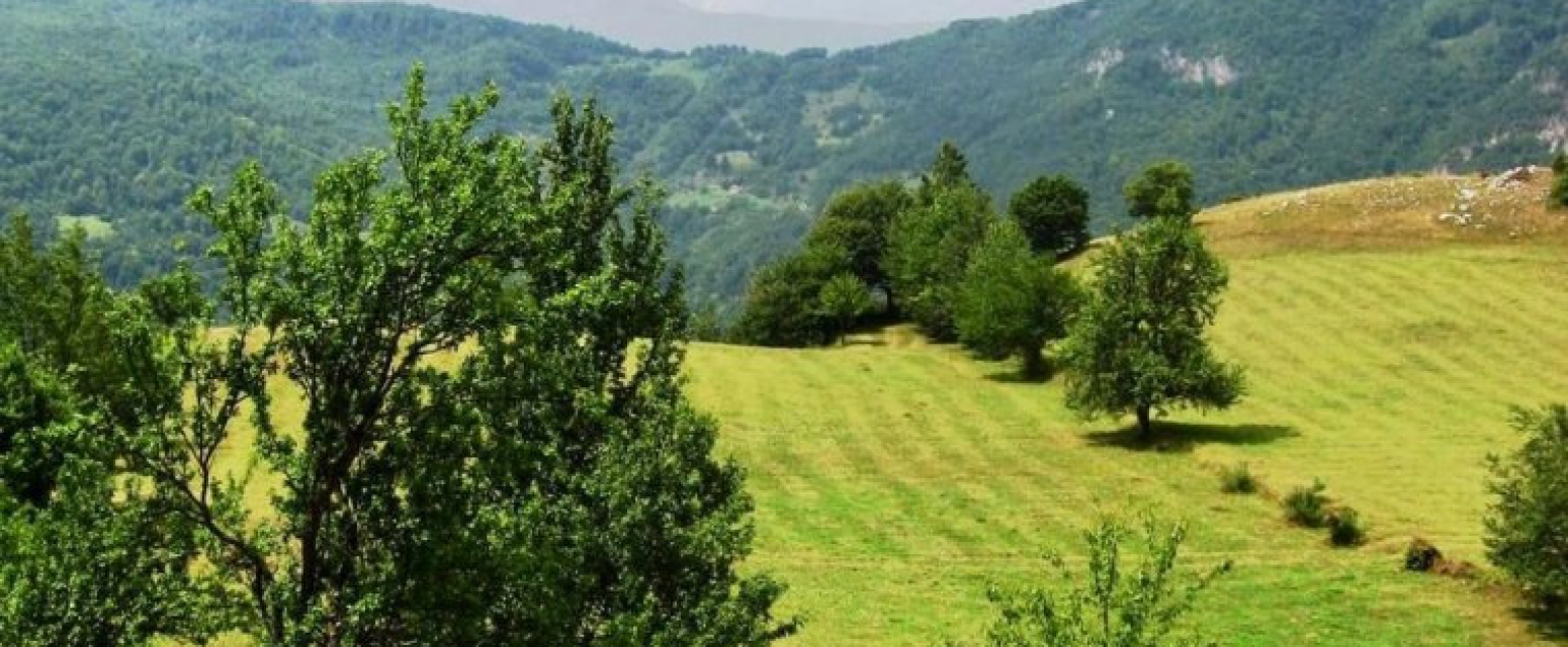 "Moja prva crnogorska noć. Bockala me slama iz ležaja"