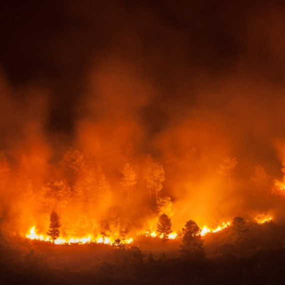 Bukti požar: Sprženo više od 200.000 hektara FOTO/VIDEO