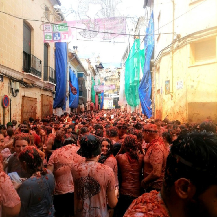 Bila sam na La Tomatini ili – kako umalo izgubih prijatelja zbog paradajzijade FOTO/VIDEO