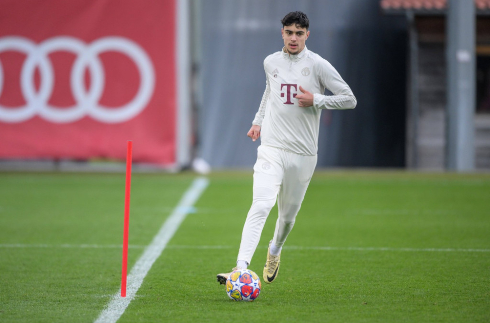 Srbija čeka Pavlovića; "Ne želi sada da odluči"