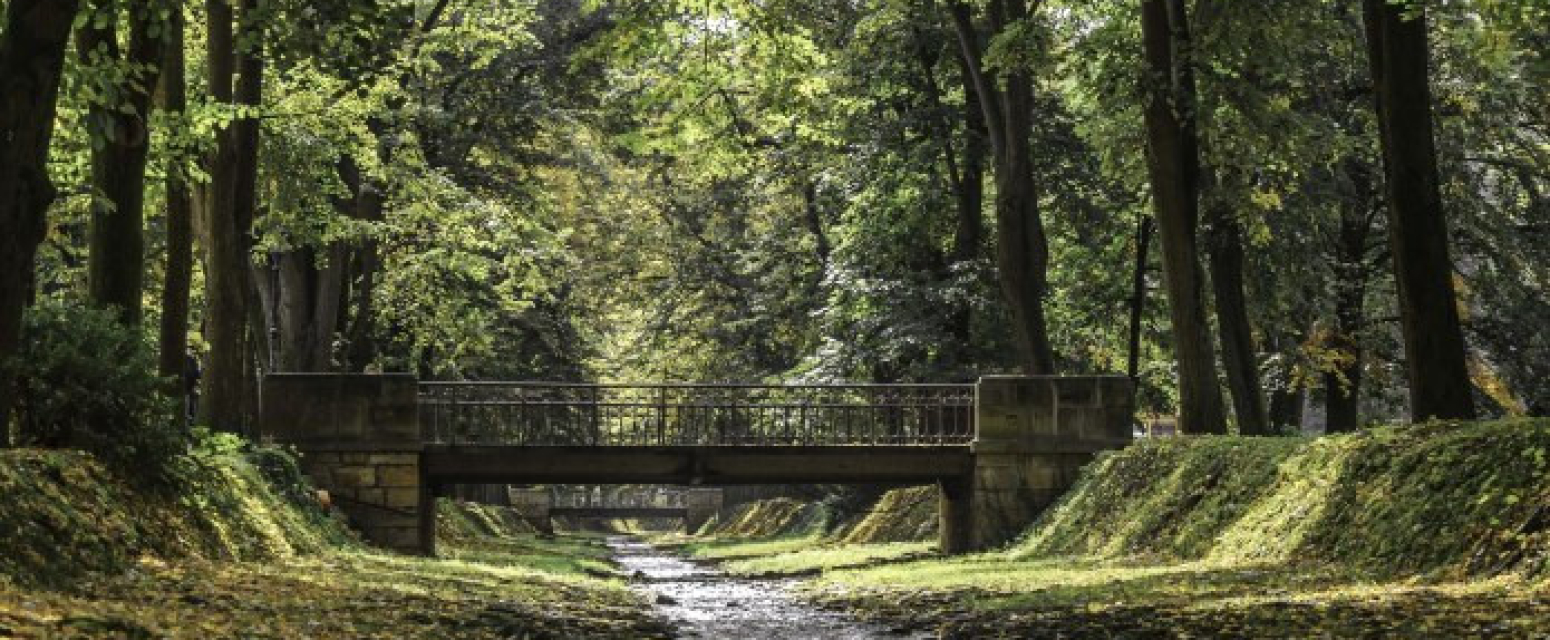 Ova banja je srpski Bali: Lekoviti izvori i priroda kao iz bajke VIDEO