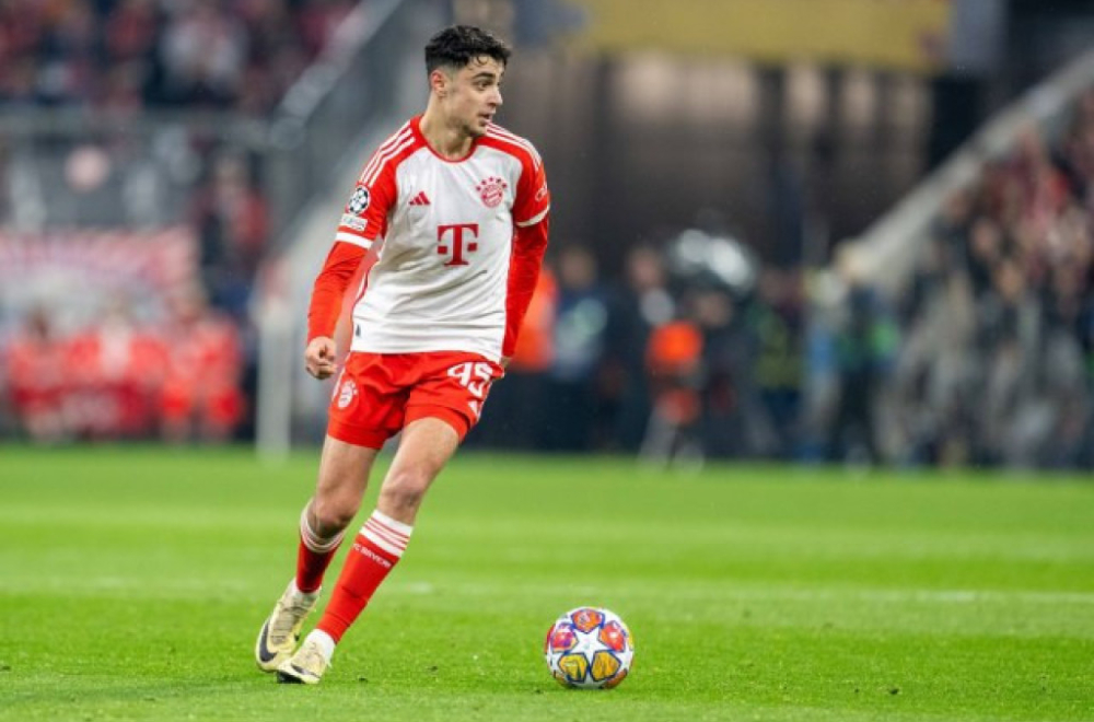 "FSS da pošalje tešku artiljeriju u Minhen – Džaja i Piksi da pričaju sa Pavlovićem"