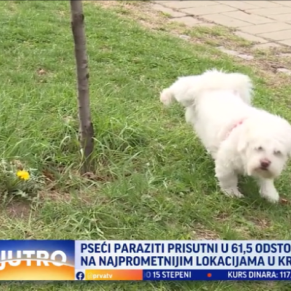 "Više od 60 odsto zemljšta je kontaminirano": Ove lokacije su najzagađenije u Kragujevcu VIDEO