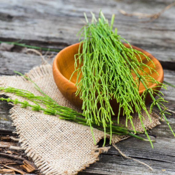 Čaj od ove biljke pomaže kod upale bešike i problema sa bubrezima