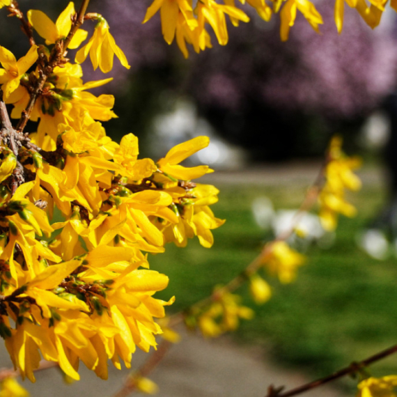 Vetrovito i toplije: Detaljna prognoza vremena za vikend