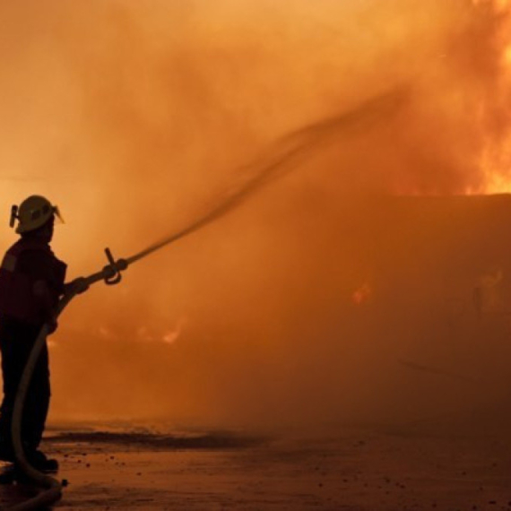 Izbio veliki požar u Novom Sadu: Anagažovano 7 vatrogasnih vozila FOTO/VIDEO