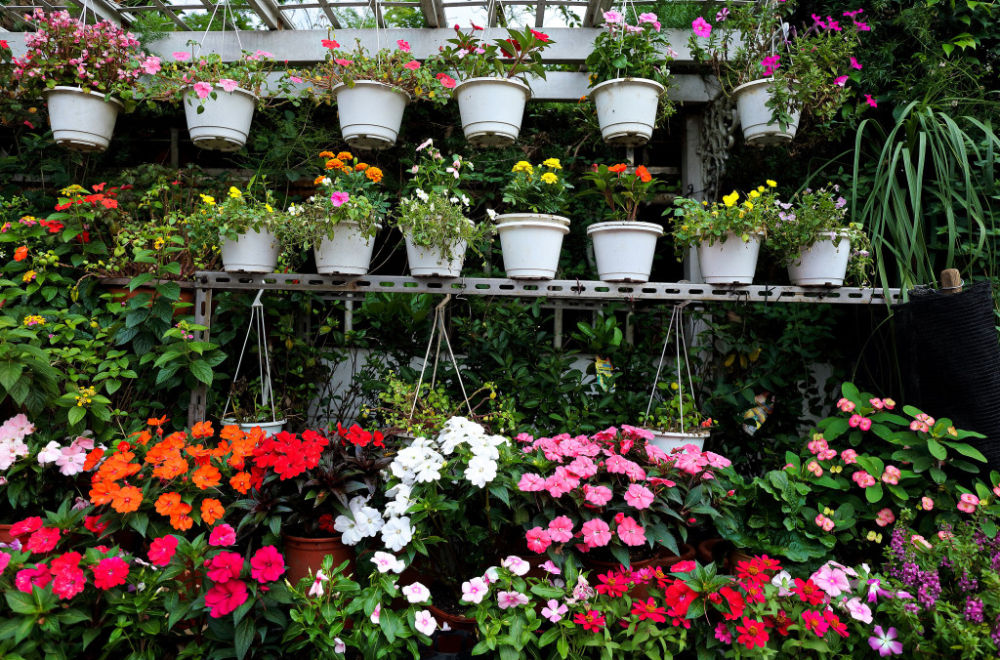 Posejano 150.000 semenki 20 vrsta cveća za uređenje grada