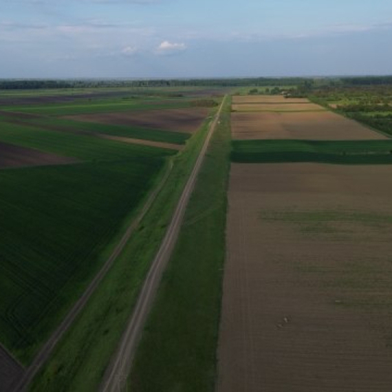 Milion evra za njivu u Rumi: Rekordan iznos za poljoprivredno zemljište u Srbiji