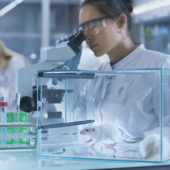 Naučnici izneli neverovatne tvrdnje: Pacovi nisu opasniji od drugih životinja