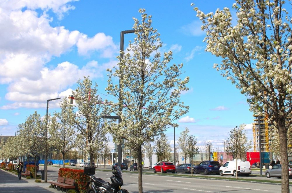 Dobro došli u Ulicu Nikolaja Kravcova, adresu najviše zgrade u Srbiji i regionu