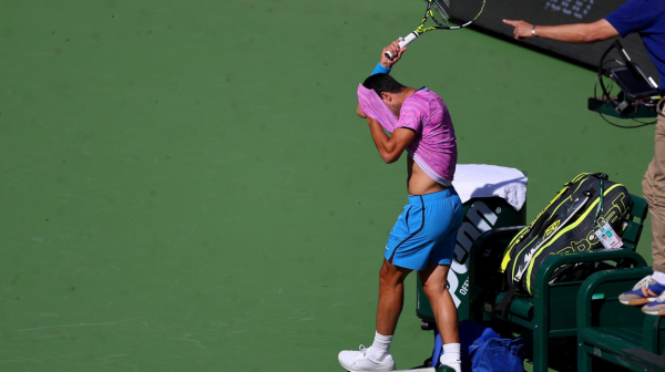 Alkaras: Plašim se pčela, nisam bio na 100% s njima iza leđa