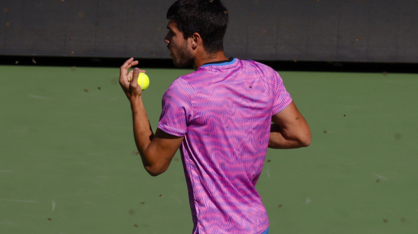 Prvo zmija, pa pčele, šta je sledeće?