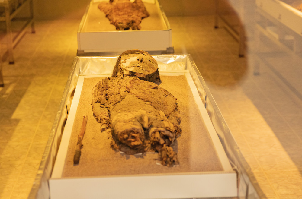 Otkrivene tajne tetovaža najstarije mumije u Evropi VIDEO