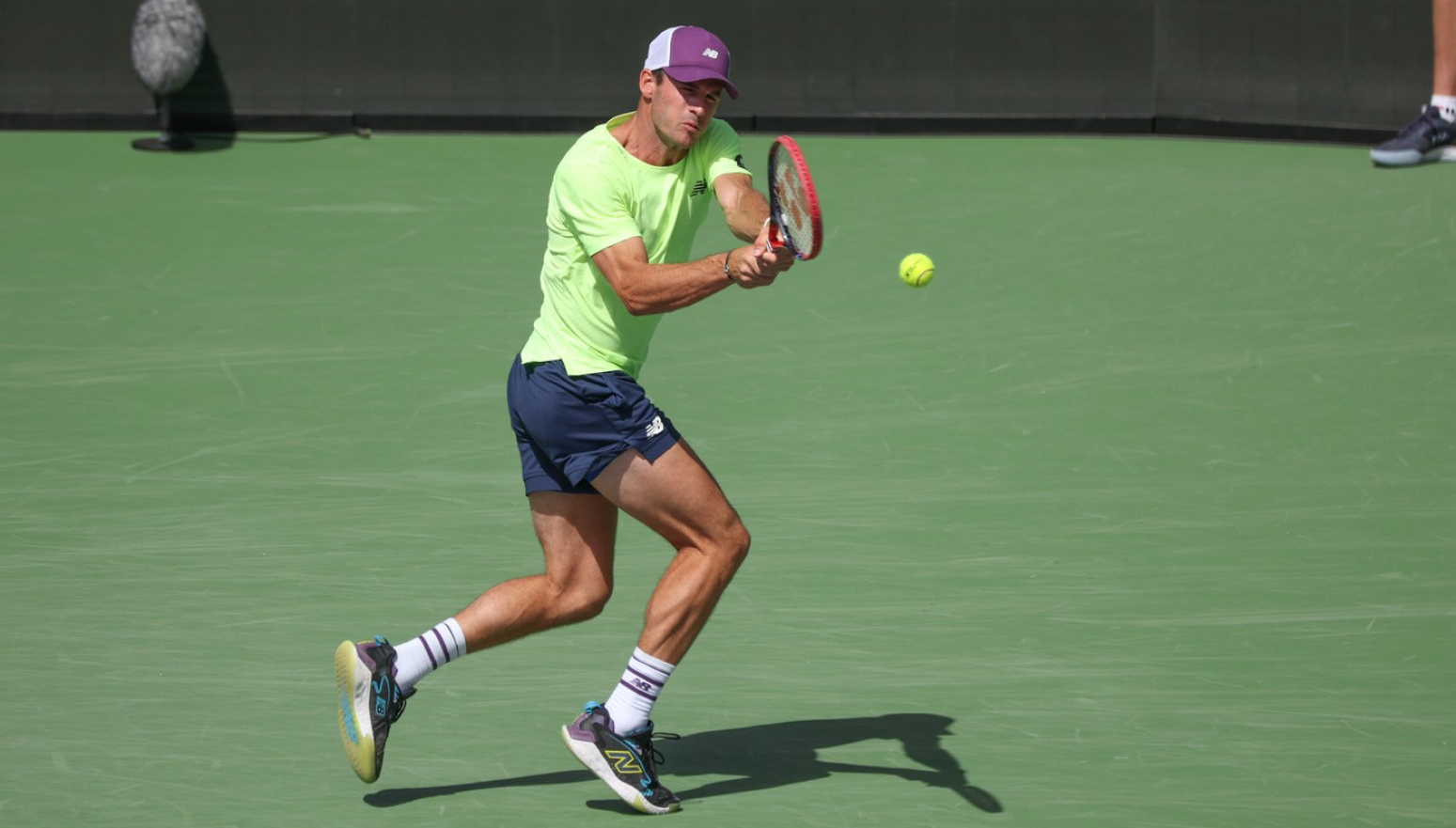 Slučaj "pčele" nije jedini – "u Majamiju iguane ulazile na teren!"