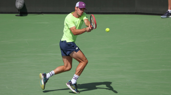 Slučaj "pčele" nije jedini – "u Majamiju iguane ulazile na teren!"