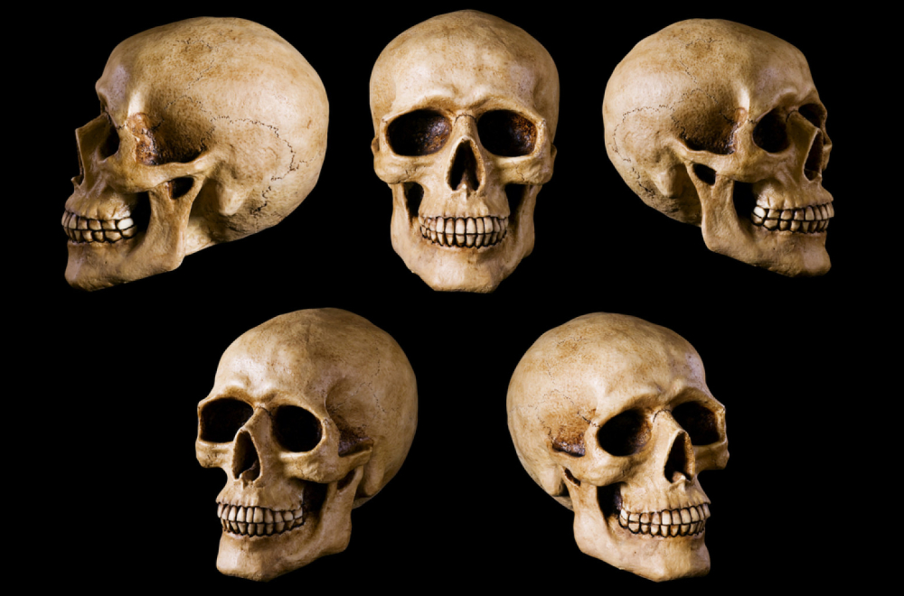 Ljudske lobanje po muzejima, nasleđe nemačkog kolonijalizma