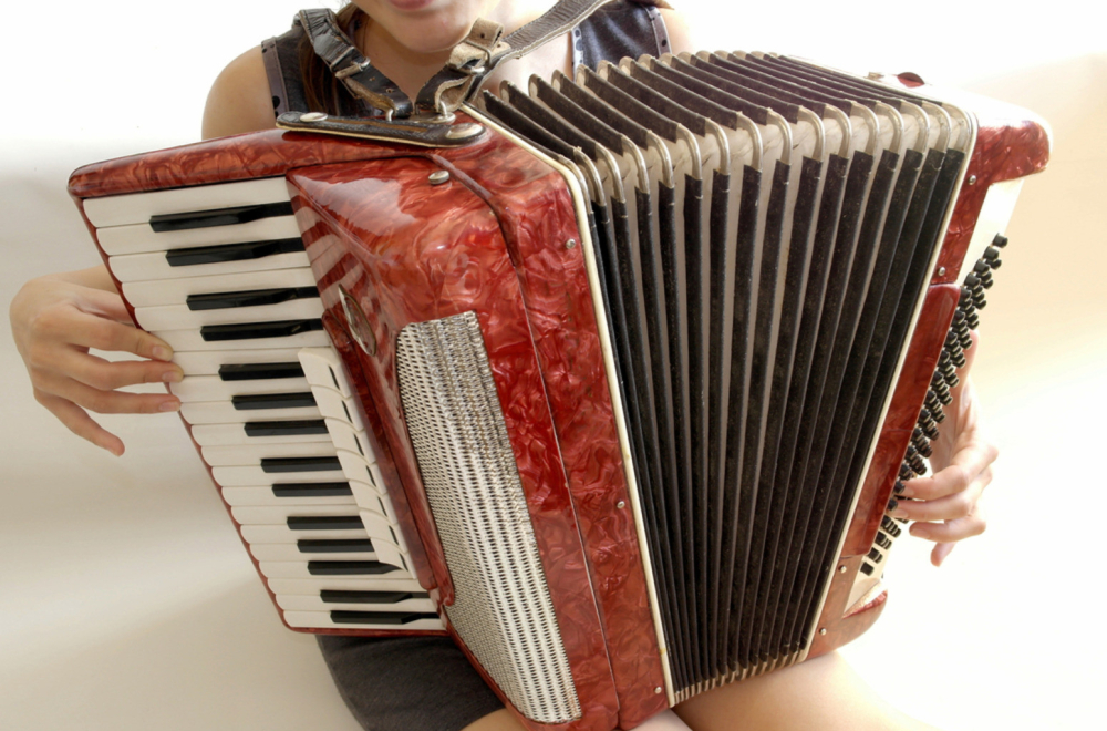 Otkazali joj nastup u Hrvatskoj zbog harmonike, sada osvaja region pesmama VIDEO