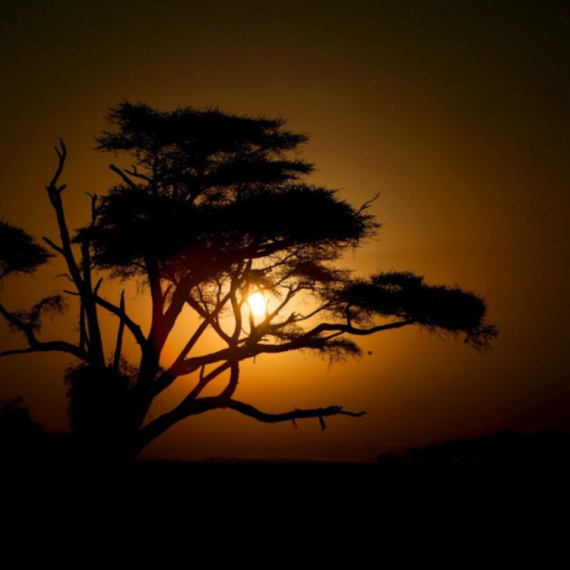 Aktiviran crveni alarm: Ceo svet je u opasnosti