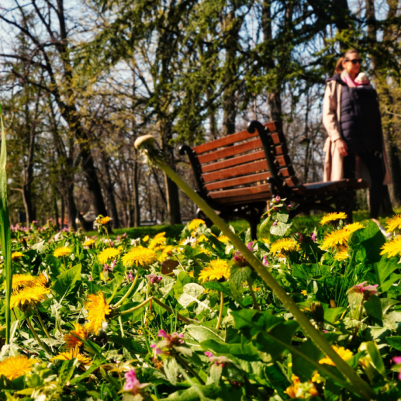 Otkrivena prognoza za proleće; Ako se obistini, šta li nas tek čeka?