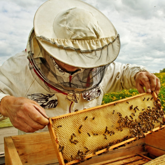 Pčelarima rok do 30. aprila