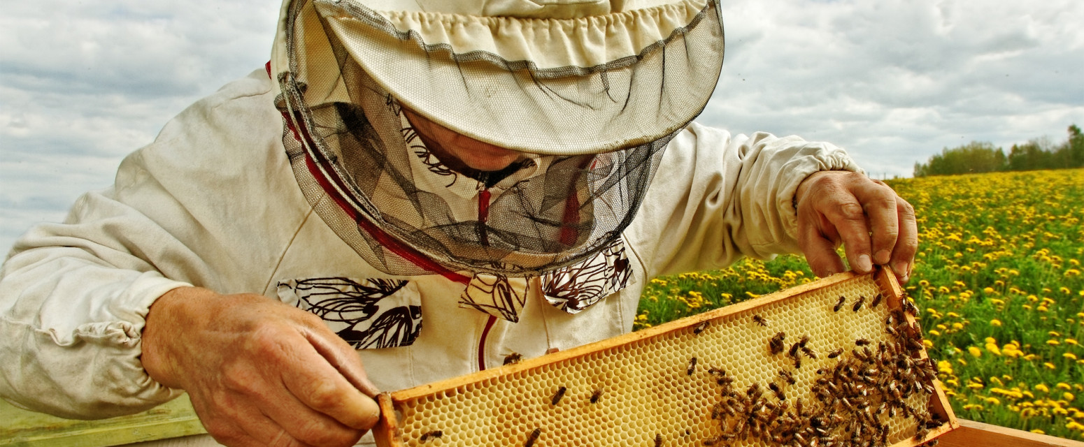 Pčelarima rok do 30. aprila